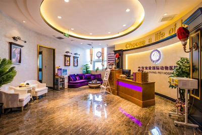 資本看好動(dòng)物醫(yī)療賽道 寵愛國際完成C輪數(shù)億元融資成為市場標(biāo)桿
